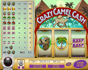 Crazy Camel Cash
