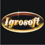 IgroSoft