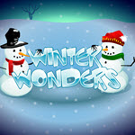 Winter Wonders