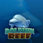Dolphin Reef