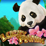 Lucky Panda