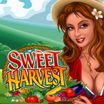 Sweet Harvest