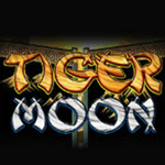 Tiger Moon
