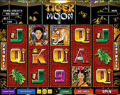 Tiger Moon