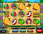 Big Kahuna - Snakes & Ladders