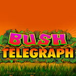 Bush Telegraph