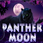 Panther Moon