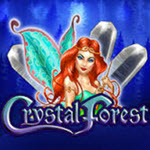 Crystal Forest