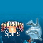Dolphins Spins