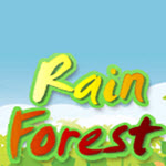 Rain Forest