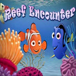 Reef Encounter
