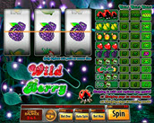Wild Berry - 5 Reels