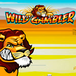 Wild Gambler
