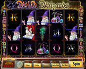 Wild Wizards