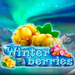 Winterberries