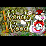 Wonder Wood