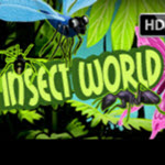 Insect World