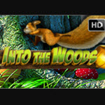 Into The Woods