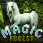 Magic Forest