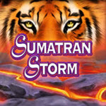 Sumatran Storm
