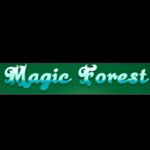 Magic Forest