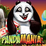 Panda Mania