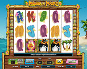 Penguins In Paradise