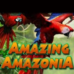 Amazing Amazonia