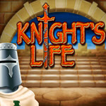 Knight's Life