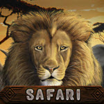 Safari