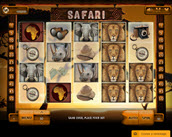 Safari