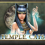 Temple Cats