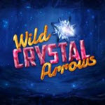 Wild Crystal Arrows