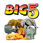 Big 5