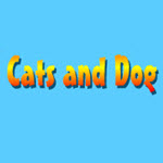Cats and Dog
