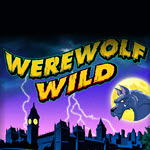 Werewolf Wild