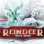 Reindeer Wild Wins