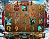 Reindeer Wild Wins