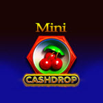 Mini Cash Drop