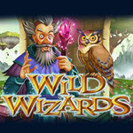 Wild Wizards