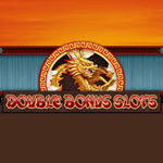 Double Bonus Slots