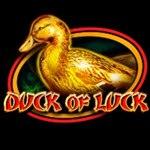 Duck Of Luck