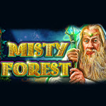 Misty Forest