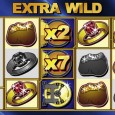 Дадатковы дзікі сімвал (Extra Wild)