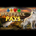 Wolfpack Pays