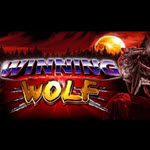 Winning Wolf