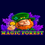 Magic Forest