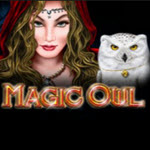 Magic Owl