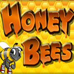 Honey Bees