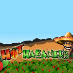 Hot Habanero